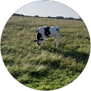 John Campbell profile picture